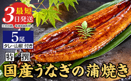 特撰 国産うなぎの蒲焼き 5尾（140g～150g×5尾）【最短3日発送】