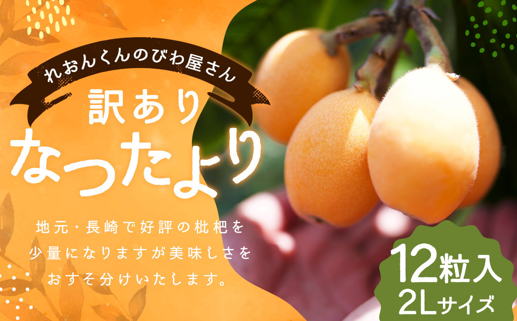 
            【訳あり】長崎産 茂木びわ「なつたより」2L（12粒入り）【2025年5月上旬～6月下旬迄発送予定】 ／ びわ 枇杷 果物 フルーツ 食品 九州 訳アリ わけあり 理由あり 長崎県 長崎市 常温
          