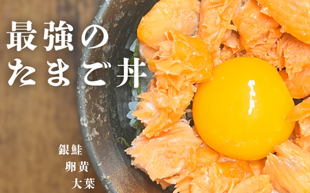 訳あり 鮭 無添加 銀鮭 骨取り 1.8kg 切り落とし バラ凍結 うす塩  冷凍食品 安心無添加 塩竈市 塩釜水産食品
