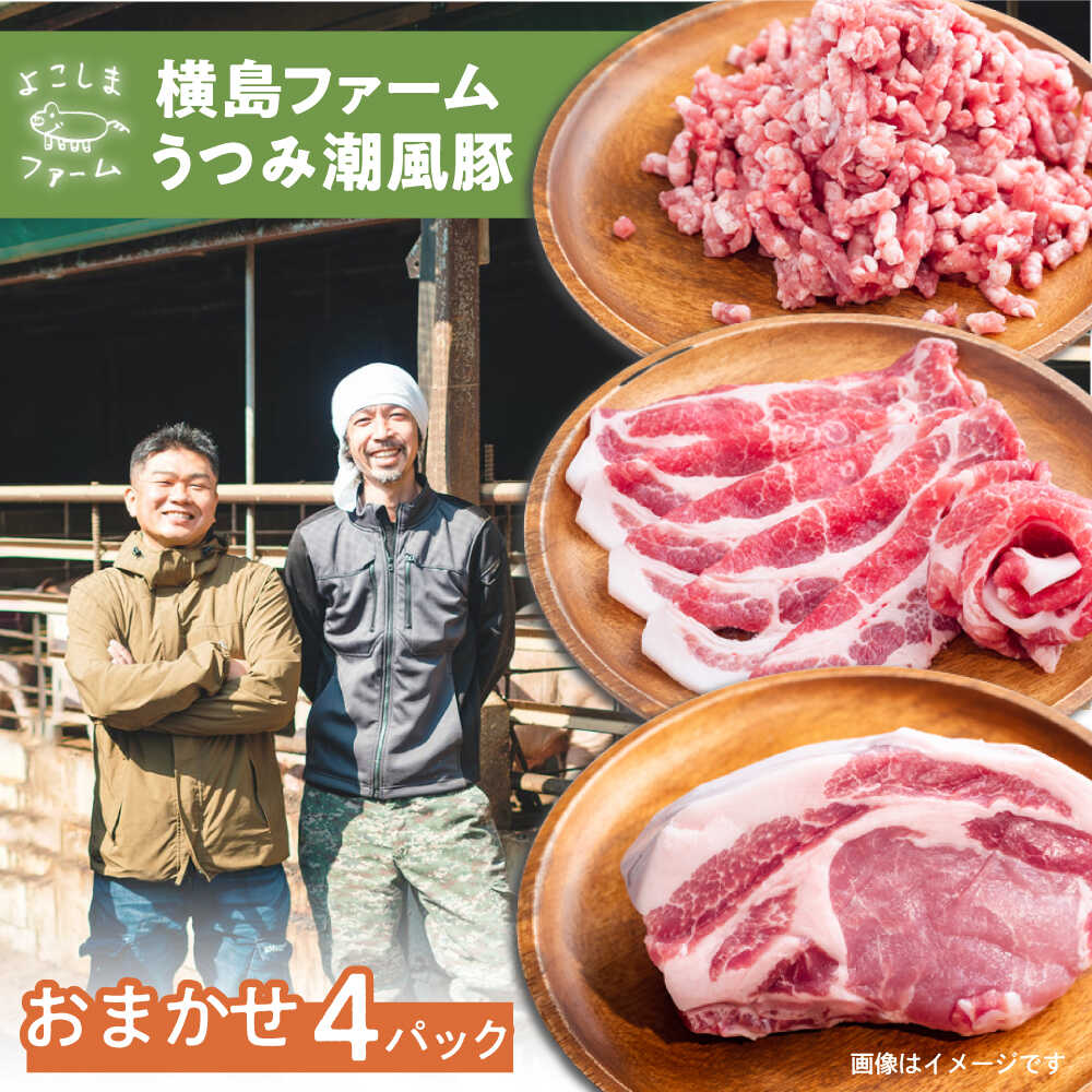 【ふるさと納税】豚肉 うつみ潮風豚 精肉おまかせ4パックセット（1P/180g〜280g） 豚肉 スライス 肉 お肉 にく 食品 国産 人気 おすすめ広島県福山市/株式会社横島ファーム[BABT002]