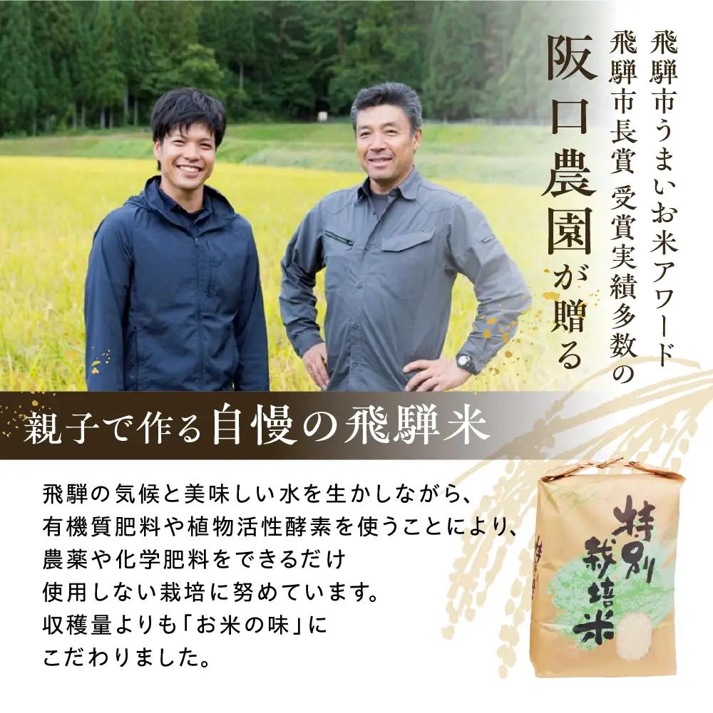《先行予約》特別栽培米 コシヒカリ5kg 米 / こしひかり 米 阪口農園 米 5キロ