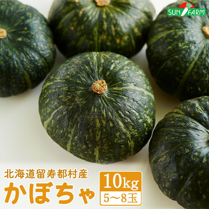 【ふるさと納税】かぼちゃ 10kg 5～8玉 カボチャ 南瓜 オンライン 申請 ふるさと納税 北海道 留寿都 野菜 緑黄色野菜 旬野菜 季節野菜 甘い ホクホク 産地直送 新鮮 採れたて 煮物 天ぷら サラダ コロッケ 10キロ 留寿都村【2401101】