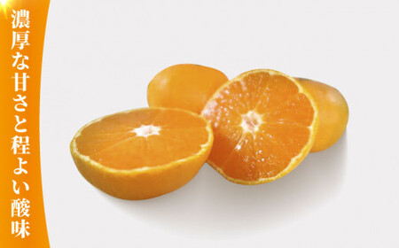 みかん 約10kg【かきやま果実】[ZCJ005]