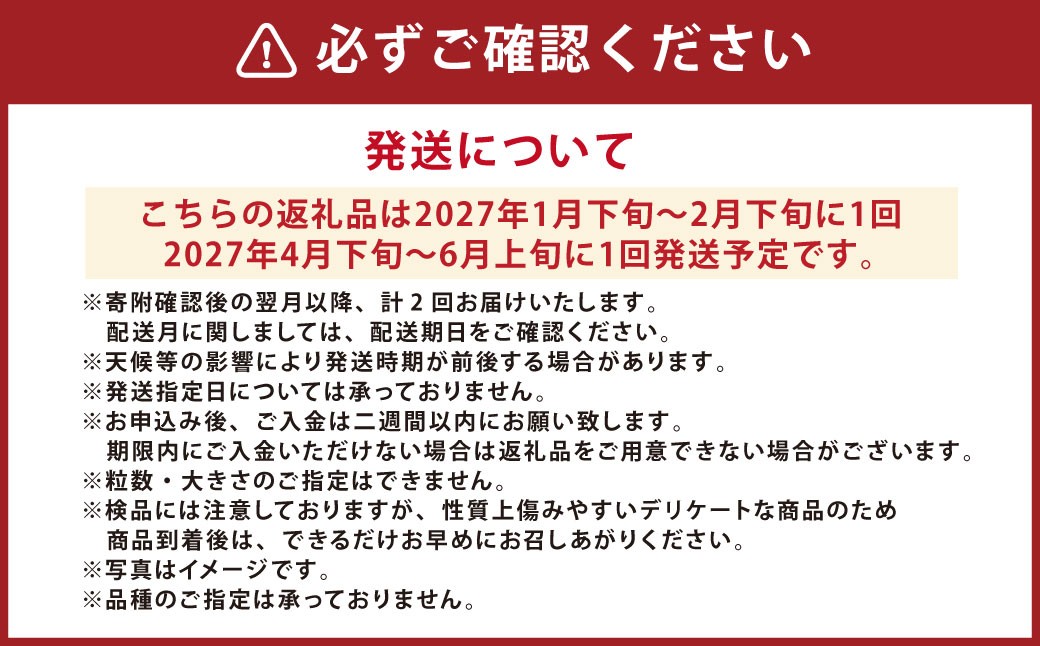 【年2回定期便】『まるで果物の王様！贅沢メロン』 2玉セット×2回 合計4玉