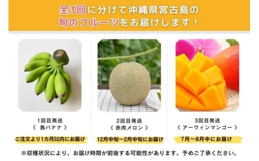 JH023　宮古島 旬の南国フルーツ 定期便【(株)フラモン】