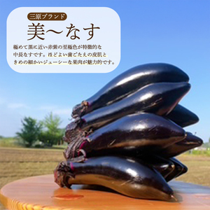 【先行受付】みのる農園 農家直送！朝採れ 美～なす 4kg ナス 野菜 やさい 2026年7月～10月上旬お届け 広島県三原市 206005