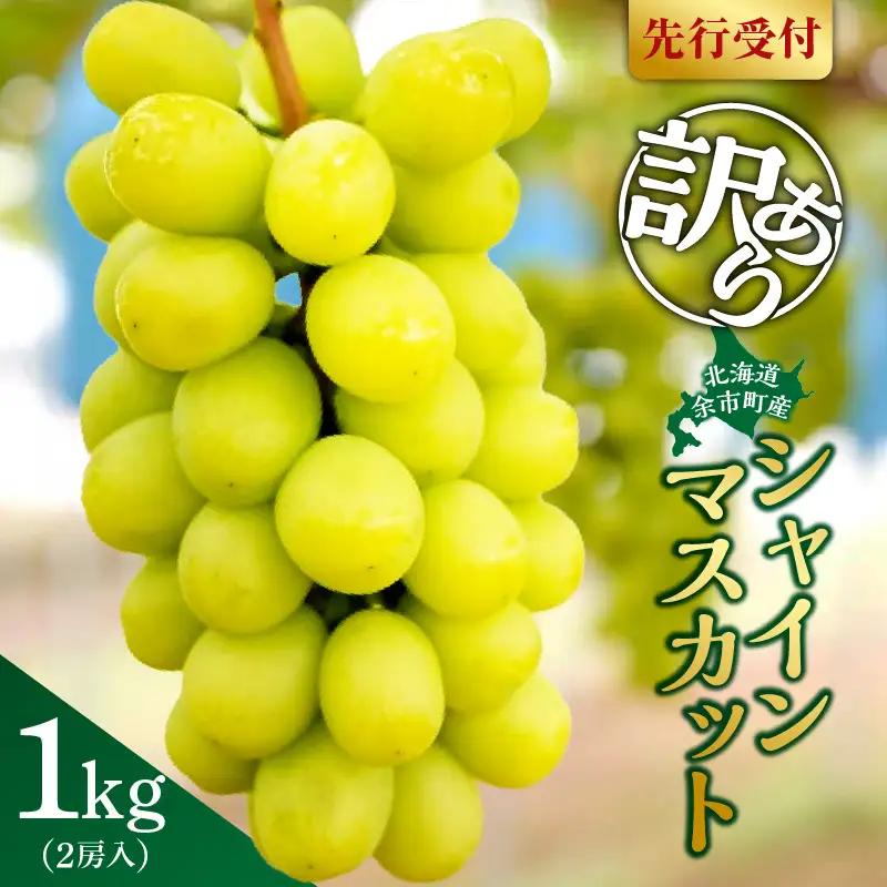 【先行予約：2026年9月上旬以降発送】訳あり北海道産シャインマスカット 1kg【優品２房】_Y164-0001