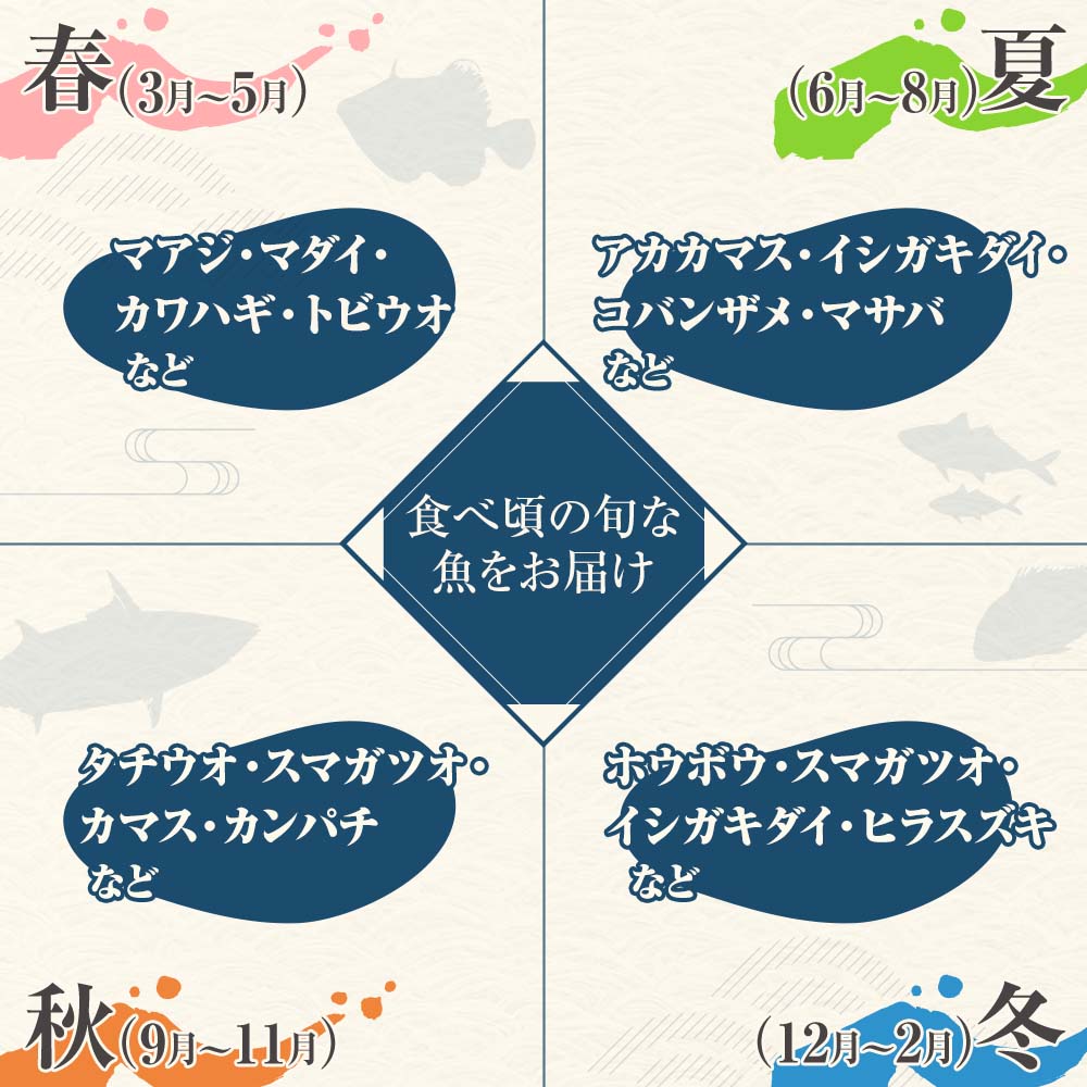 旬の朝獲れ鮮魚詰め合わせ【以布利定置網　漁師直送】朝獲れ 旬 鮮魚 魚介 海鮮 魚 さかな せんぎょ 鮮魚セット 詰め合わせ おまかせ お任せ【S00818】