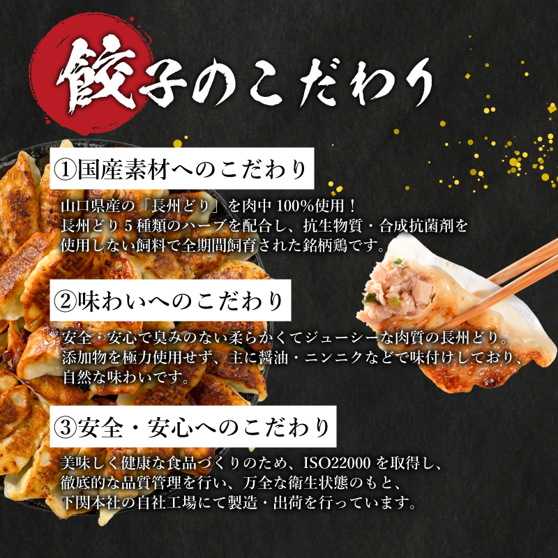 訳あり 長州どり餃子 3回 隔月 定期便 180個 12個×15パック 冷凍 長州どり餃子【隔月発送】180個× 3回