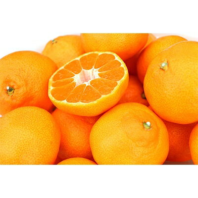 【ふるさと納税】柳フルーツ園の大玉みかん(Lサイズ　5kg)【1077825】