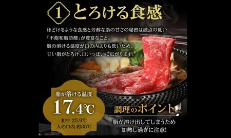 松阪牛サーロインステーキ1枚 200g ( 松阪牛 牛肉 和牛 松阪牛 ステーキ 松阪牛 牛肉ステーキ )