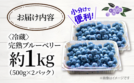 【6月より順次発送】 ブルーベリー 1kg＜広津農園＞[CBN008] ブルーベリー ブルーベリー ブルーベリー ブルーベリー ブルーベリー ブルーベリー