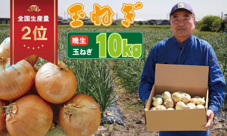【先行予約受付中】平石さん家の晩生玉ねぎ！サイズL～Mサイズ（10kg） タマネギ 玉葱  農家直送  送料無料