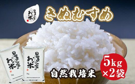 167.日置さん家の自然栽培 米 「 きぬむすめ 」無洗米　5kg×2袋 2025年産 | 無洗米