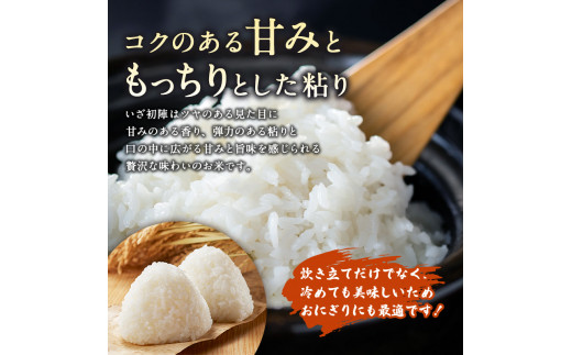 令和6年産 新米 精米 ブランド米「いざ初陣」15kg（1kg×15個）食味値85以上 整粒歩合80%以上