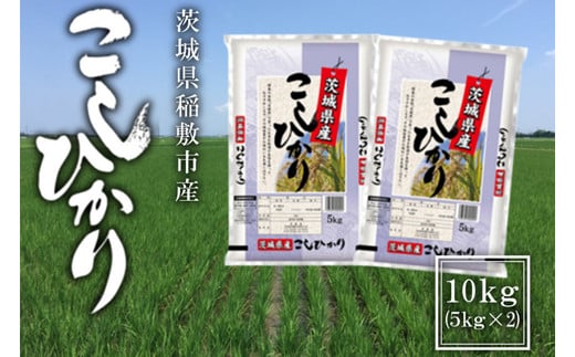 【令和7年産】稲敷市産 コシヒカリ 10kg (5kg×2袋)｜こしひかり 米 こめ コメ ごはん ご飯 [1999]