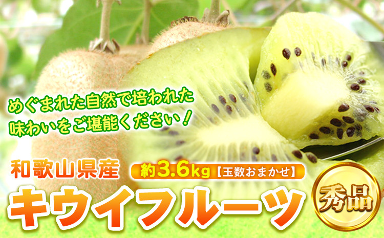 
            秀品 和歌山の下津で採れたキウイフルーツ約3.6kg（玉数おまかせ）日高町厳選館《2026年1月中旬-3月上旬頃出荷》和歌山県 日高 キウイ キウイフルーツ 秀品
          