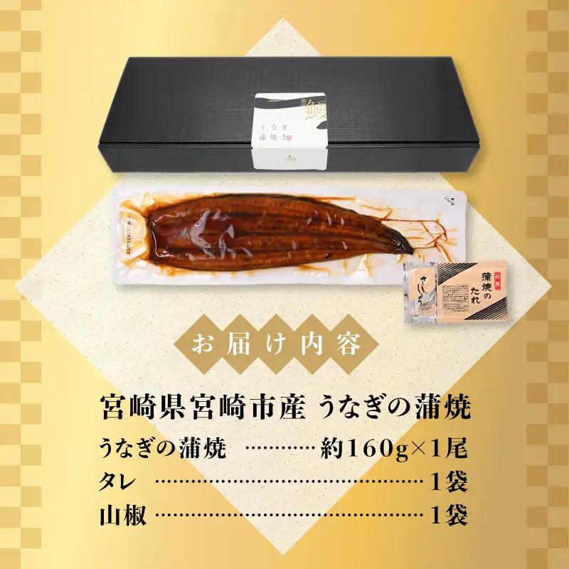 うなぎ 蒲焼 うなぎ[国産 1尾 160g]