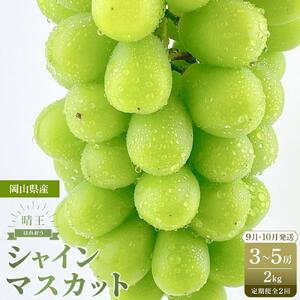 【定期便 全2回／2026年9・10月発送】 岡山県産シャインマスカット 晴王 約2kg（3～5房） 2回定期便　9月10月に1回づつ発送　種無し 皮ごと食べる 旬の美味しさ　フレッシュ 先行予約　ハレノフルーツ | フルーツ 果物 くだもの シャインマスカット 晴王  種なし 皮ごと フレッシュ 国産 岡山県産 食品 人気 おすすめ 送料無料 定期便 ギフト 贈り物 贈答品 プレゼント ぶどう ぶどう 葡萄 葡萄