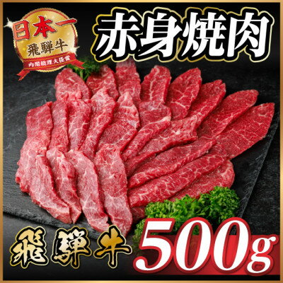 【ふるさと納税】飛騨牛 赤身(焼肉・BBQ用) 約500g【冷蔵便】A4～A5等級 黒毛和牛【配送不可地域：離島】【1646144】