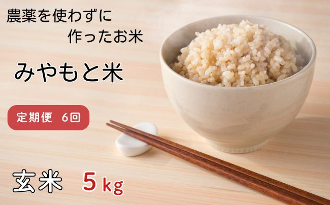 
            【定期便6回】農薬を使わずに作ったお米　みやもと米（玄米）　5kg
          