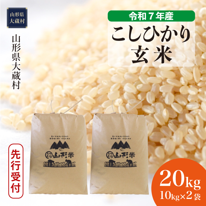 ＜令和7年産米先行受付＞ 大蔵村産 こしひかり 【玄米】 20kg （10kg×2袋） 配送時期指定できます！