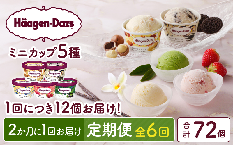 ＜全6回定期便・隔月＞ハーゲンダッツ『定番ミニカップフレーバー5種セット(合計72個)』アイスクリーム アイス スイーツ デザート_H0016-161