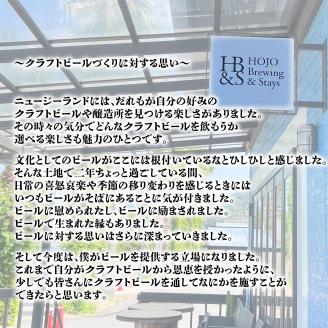 愛媛 松山 北条 クラフトビール おまかせ 6本セット 愛媛県 松山市 クラフトビール