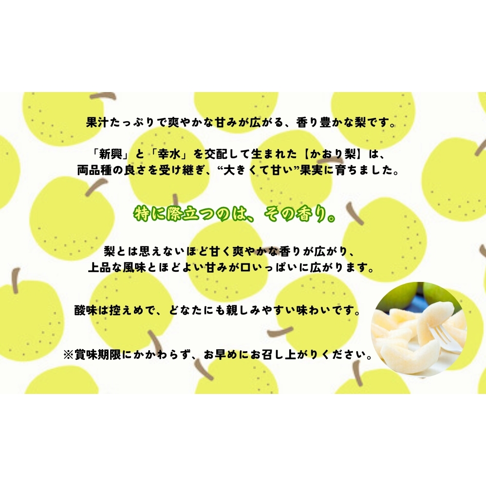 【予約受付中】【9月上旬～中旬より順次発送】【濱田農園】 かおり梨 約3kg 【数量限定】