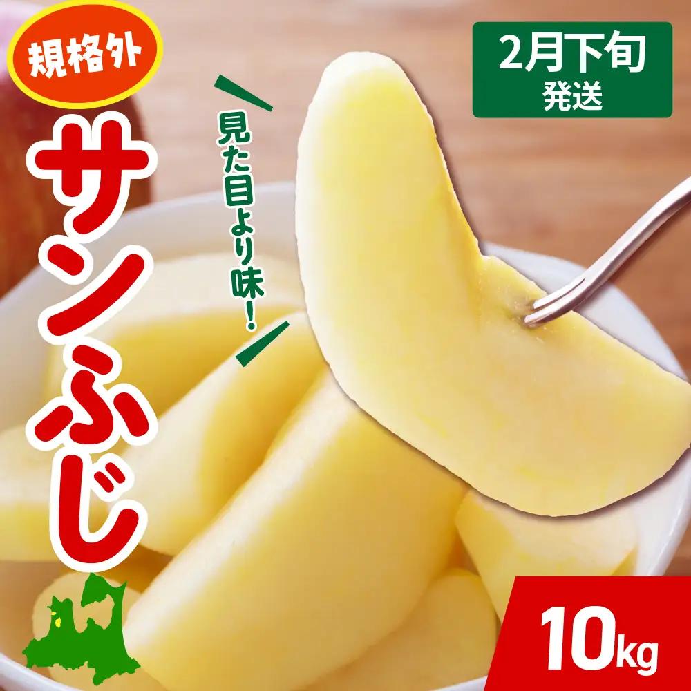 【2027年2月下旬発送】 りんご 約 10kg サンふじ 【規格外】 青森県産 りんご