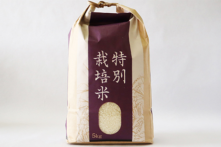 銀河のしずく 銀河のしずく白米5kg 【1893】