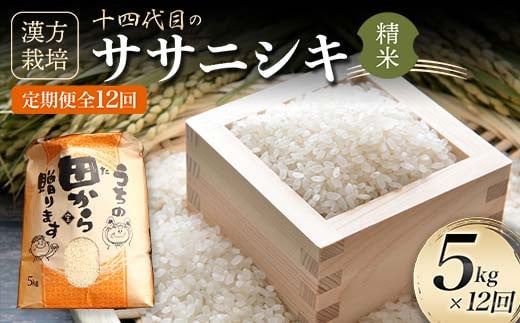 
【定期便】令和5年産 漢方栽培 十四代目のササニシキ 5kg（精米）全12回 米 お米 おこめ 山形県 新庄市 F3S-1702
