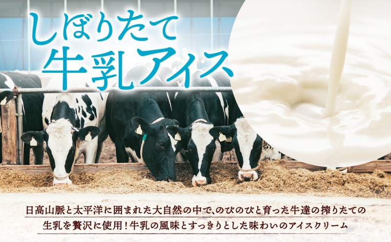 チーズ工房1103 しぼりたて牛乳アイス100g×8個 アイス アイスクリーム ミルクアイス 牛乳アイス デザート スイーツ 搾りたて しぼりたて 牛乳 生乳 あっさり すっきり スッキリ 氷菓子 ひ