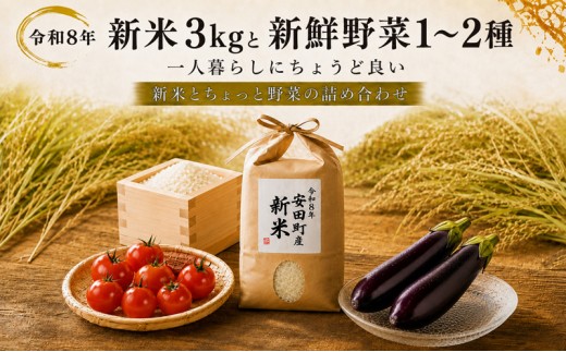 【先行受付】 令和8年 新米 ヒノヒカリ 3kg ちょっと野菜の詰め合わせ 米 3kg 野菜 1-2品 お米 白米 ヒノヒカリ おまかせ 旬 なすトマト 茄子 みかん ゆず 1人暮らし 単身 ちょうど 良い 1人前 食べきり 産地直送 クリスマス 年末年始 人気 プレゼント 清流 安田川 高知県 安田町 TR0001_26