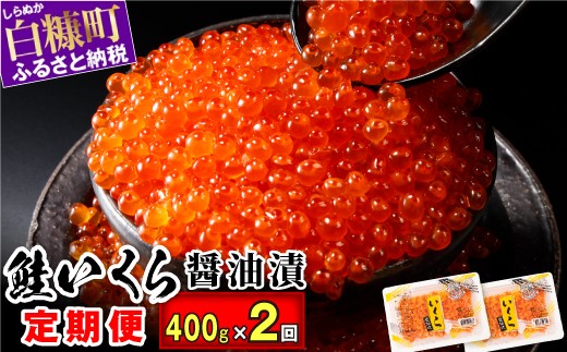 
                  【定期便】2回お届け いくら醤油漬 (鮭卵) 定期便 400g (200g×2) ×2回 ふるさと納税 海鮮 いくら イクラ 鮭いくら 鮭イクラ 醤油漬け 鮭 魚卵 魚 魚介 小分け 人気 いくらの町 北海道 白糠町
                