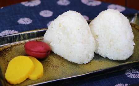 0C1-106A 精白 ハトムギ 300g×6袋（ひきわりタイプ）