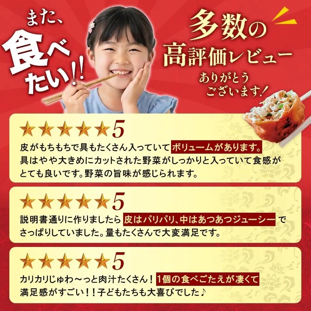 餃子のはながさ 定期便 隔月3回 ホワイト餃子16個×2パック 冷凍 中華 点心 B級グルメ ご当地 野菜 おつまみ おかず 簡単調理 時短 豚肉 ポーク 大きめ ジューシー ギフト お取り寄せ 日高