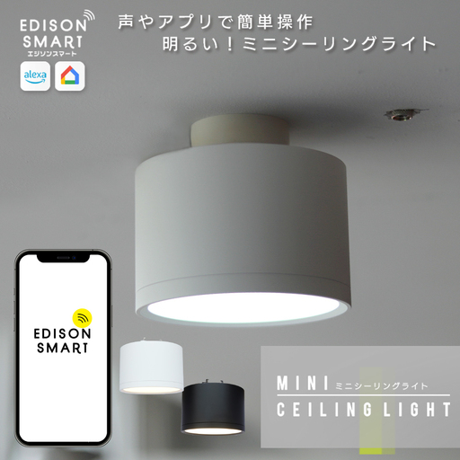 エジソンスマート ミニシーリングライト 引掛けシーリング用 福岡市【カラー選択可】 ホワイト
