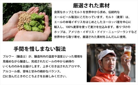 【定期便12カ月】 クラフトビール 350ml 3種24本 飲み比べセット 【ヤッホーブルーイング インドの青鬼 クラフトザウルス ペールエール 軽井沢高原ビール 地ビール お酒 酒 長野県 佐久市 