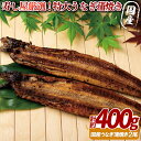 【ふるさと納税】寿し屋厳選!特大うなぎの蒲焼(国産)