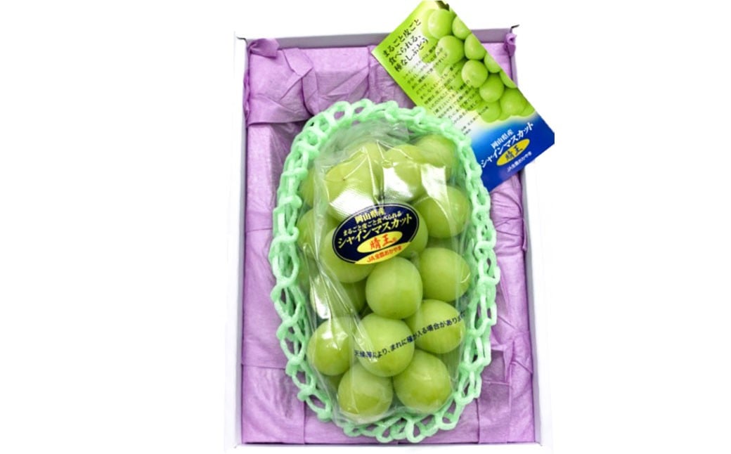 シャインマスカット 晴王 1房 （800g以上） 化粧箱入り 【2026年8月下旬～11月上旬迄発送予定】 ／ マスカット 葡萄 ぶどう 果物 果実 フルーツ 種なし 皮ごと 大粒 岡山県 美咲町 冷