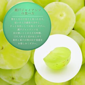 【2025年先行予約】［大原観光果樹園］瀬戸ジャイアンツ  3〜4房（約2kg）［026-a016］