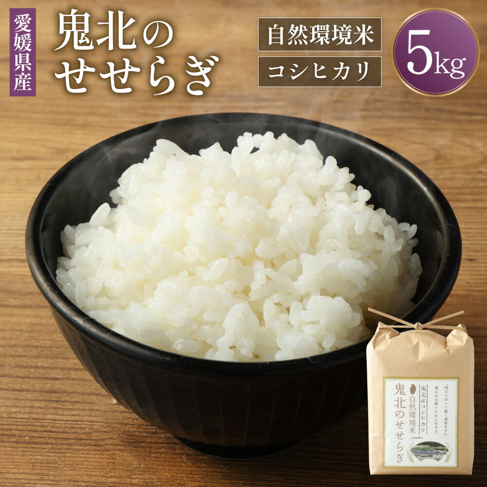 【ふるさと納税】自然環境米 鬼北のせせらぎ（コシヒカリ）5kg 令和6年産 白米 米 お米 精米 おこめ こめ コメ 国産米 ごはん ご飯 食品 お取り寄せ 国産 愛媛県 送料無料【えひめの町（超）推し！（鬼北町）】(391-1)