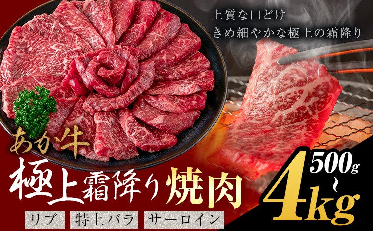 
                  あか牛 極上霜降り リブ サーロイン 特上バラ 焼肉 500g 1kg 2kg 4kg《30日以内に出荷予定(土日祝除く)》熊本県 氷川町 牛 牛肉 和牛 ブランド牛
                