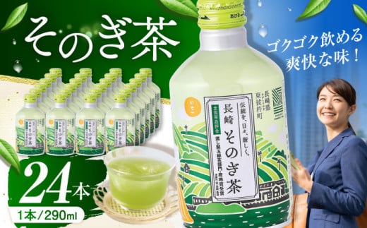 そのぎ茶 290ml×24本 長崎県/長崎県農協直販 [42ZZAA030] 缶 ドリンク 飲料 茶 お茶 おちゃ 飲み物 長崎県産 彼杵