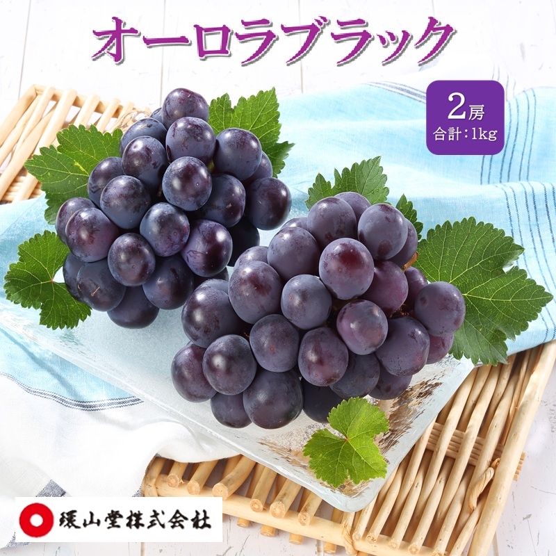 
                  [№5615-0991]ぶどう 2026年 先行予約 オーロラブラック 2房 合計1.0kg ブドウ 葡萄 岡山県産 国産 フルーツ 果物 ギフト 環山堂
                