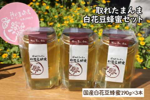 《14営業日以内に発送》採れたまんまの白花豆蜂蜜 190g×3本セット ( 蜂蜜 はちみつ ハチミツ 蜜 甘い 白花豆 蜂 純粋蜂蜜 贅沢 国産 おやつ 天然 自然 )【022-0005】