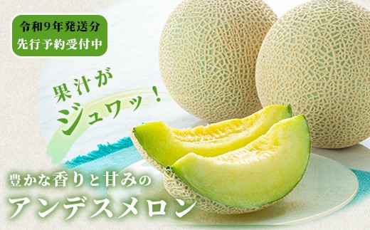 【令和9年発送先行予約】アンデスメロン 4玉〜6玉 (約5kg)