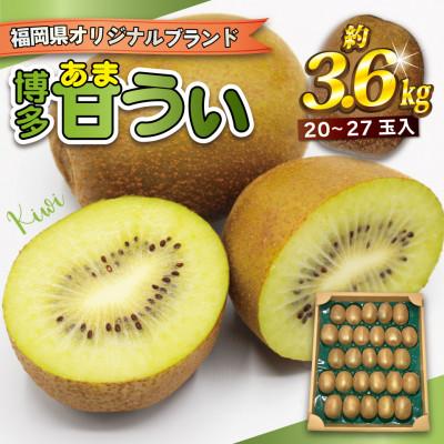 ふるさと納税 福津市 【2026年11〜12月出荷】福岡県ブランドキウイフルーツ「博多甘うぃ」約3.6kg[G2218]