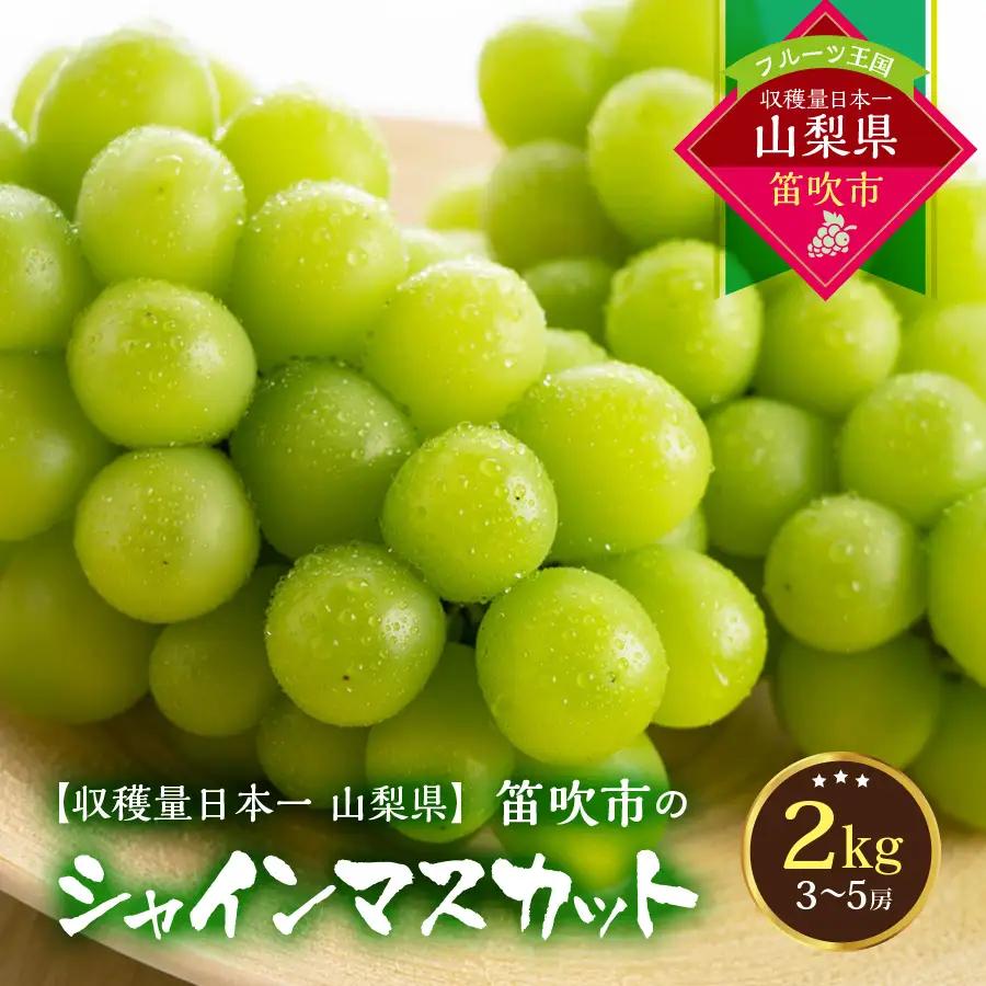 【2026年発送★先行予約】葡萄の一大産地！笛吹市産シャインマスカット2kg 167-012-26y